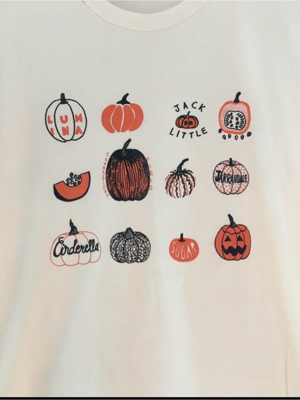 Pumpkin T Shirt - Picture 2 of 6